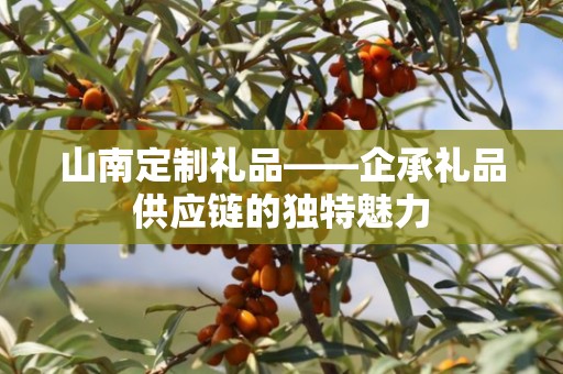 山南定制礼品——企承礼品供应链的独特魅力