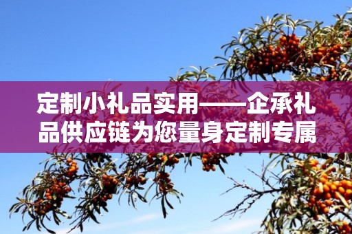 定制小礼品实用——企承礼品供应链为您量身定制专属礼品